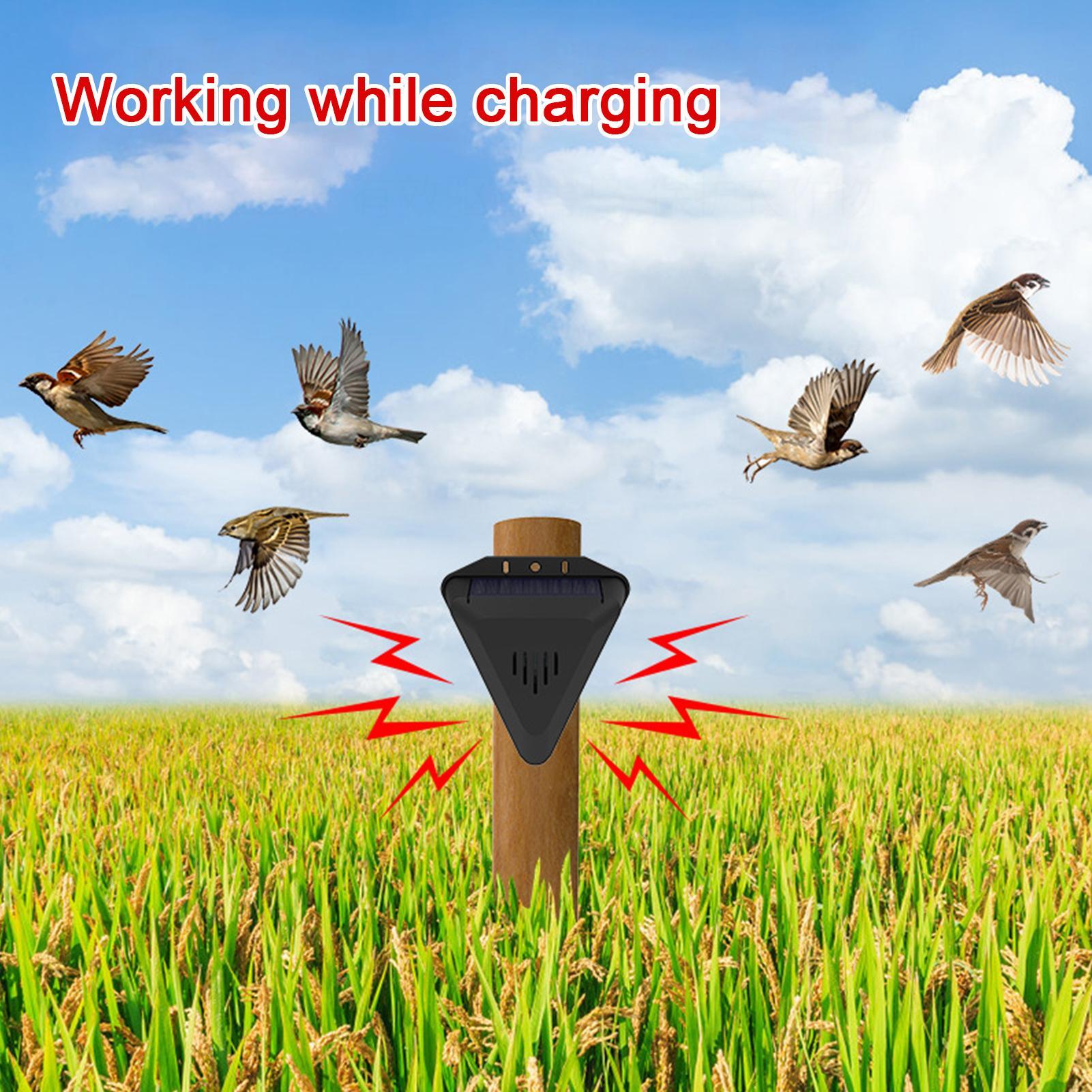 Solar Timer Vogelafschrikker M - Outdoor Power Timer recensie en prijs