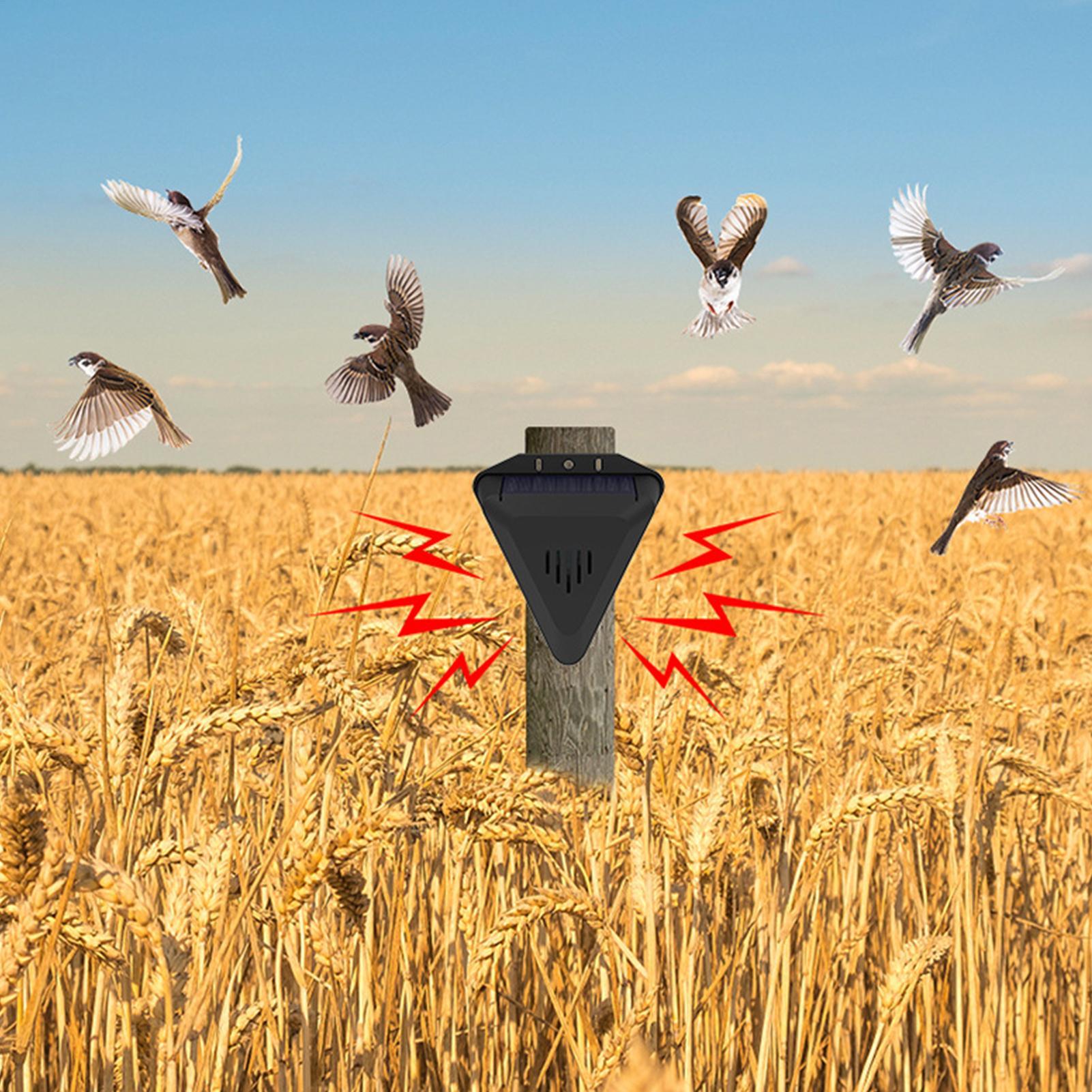 Solar Timer Vogelafschrikker M - Outdoor Power Timer recensie en prijs