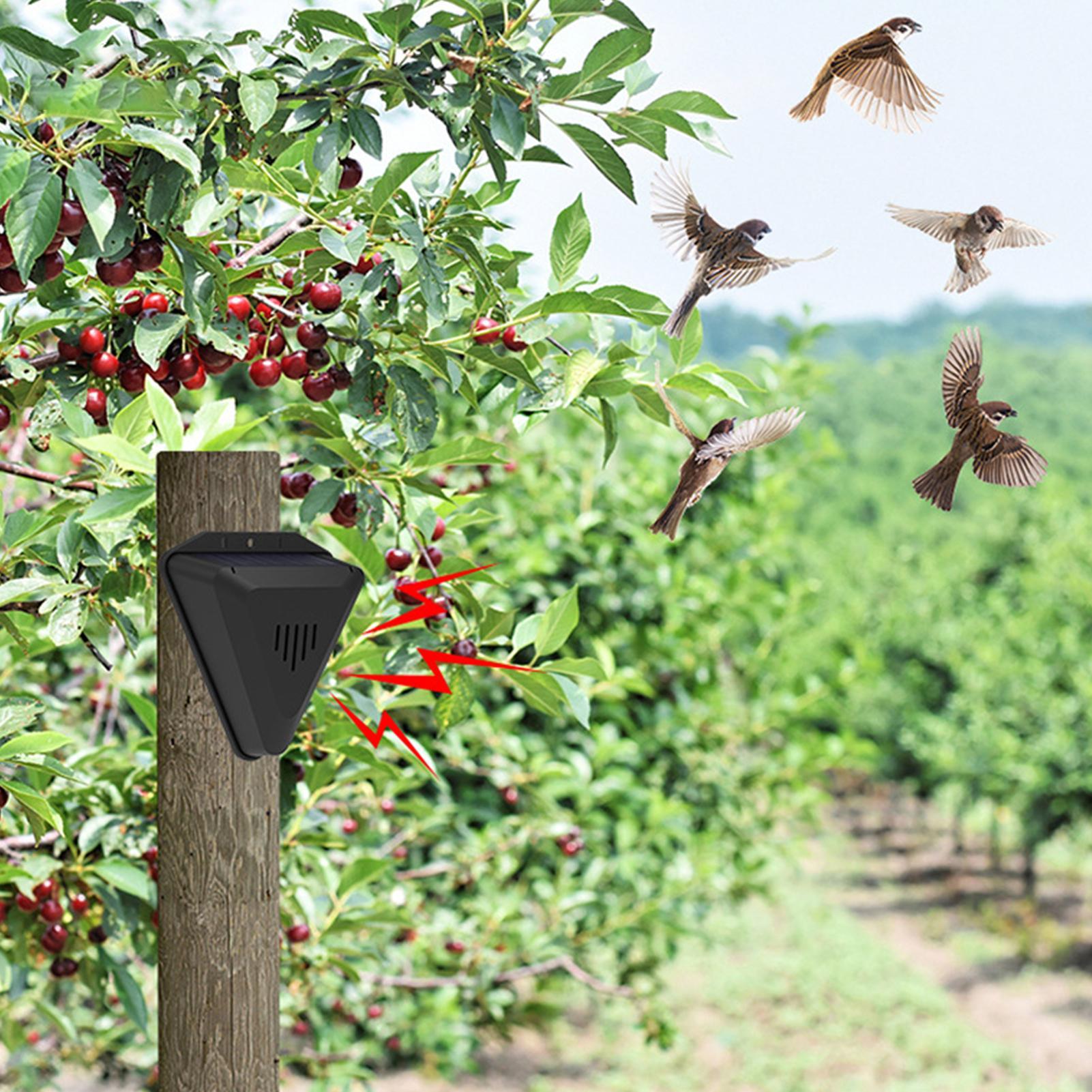 Solar Timer Vogelafschrikker M - Outdoor Power Timer recensie en prijs